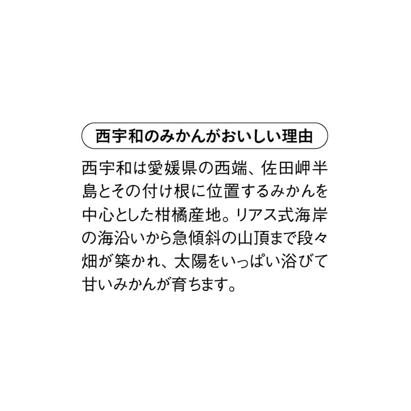 【予約販売】和みかん 3kg(23~38個)
