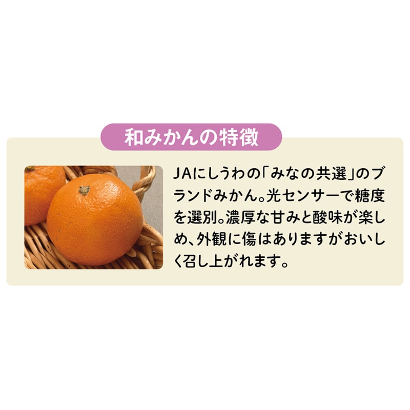 【予約販売】和みかん 3kg(23~38個)