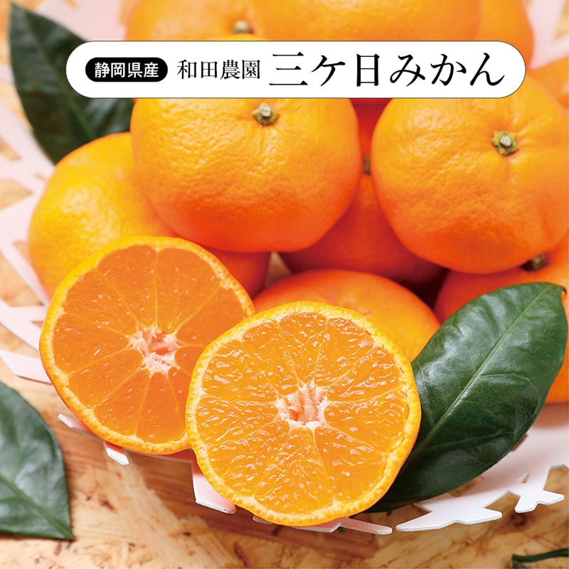 【予約商品】和田農園　三ケ日みかん