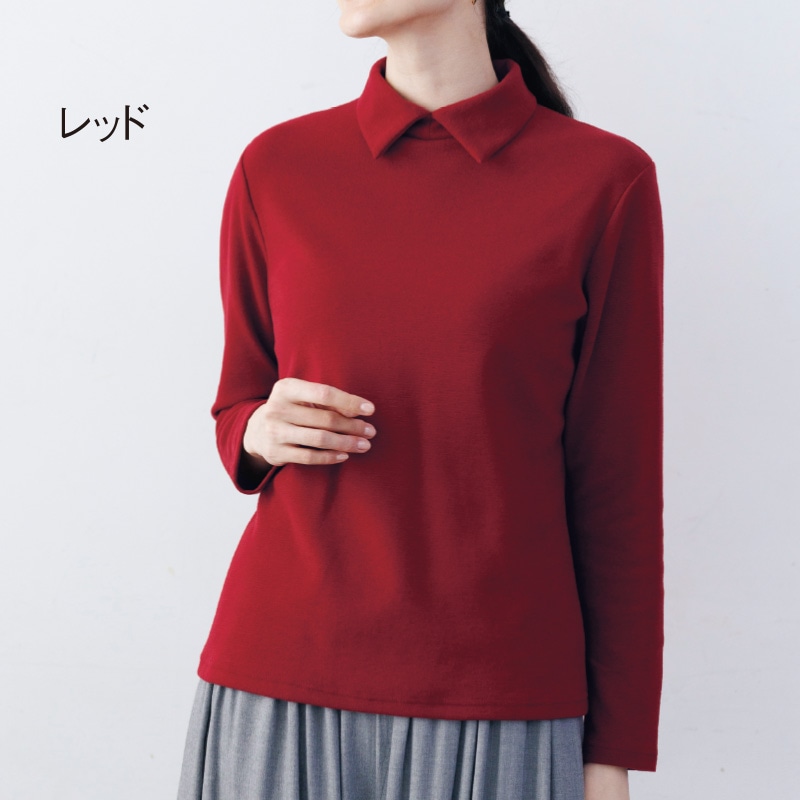 衿付カットソー　プルオーバー
