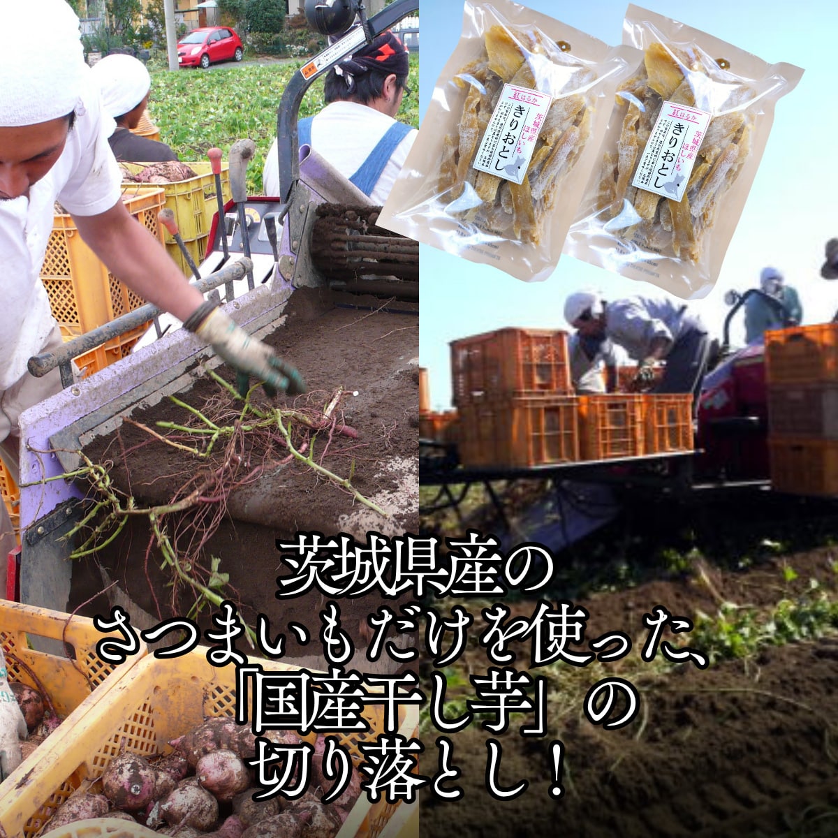 茨城県産ほしいも(切り落とし)500g×2