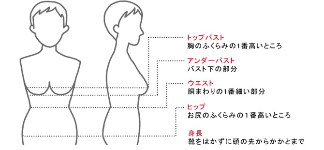 ヌードサイズの測り方