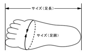 ヌードサイズの測り方